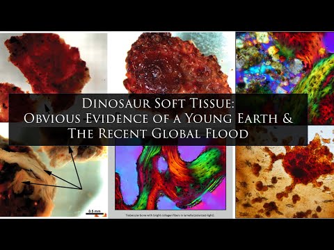 Dinosaur Soft Tissue