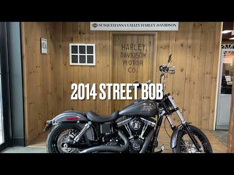 2014 Harley-Davidson Street Bob in Harrisburg, Pennsylvania - Video 1