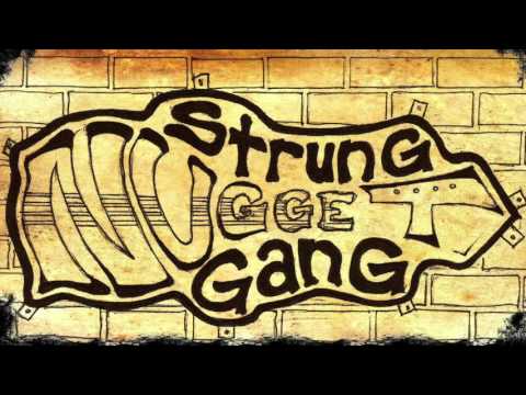 The Strung Nugget Gang - Northern California Bluegrass String Band