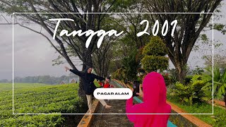 TANGGA 2001 || Kawasan Kebun Teh Kota Pagar Alam Sumsel #wisatapagaralam