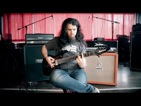 Distorted Harmony - Natural Selection (Guitar Playthrough)