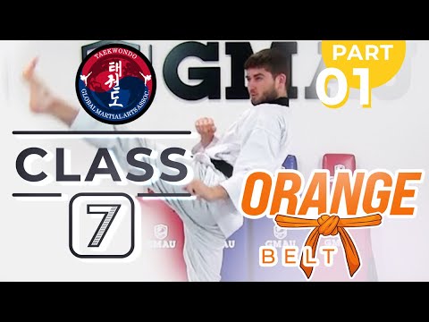 Taekwondo  - Orange Belt - Class 7 (Part 1) thumbnail