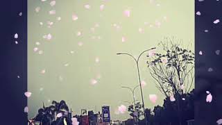 Download lagu Story WA sedih 'cinta dalam doa' mp3 Download lagu Story WA sedih 'cinta dalam doa' mp3