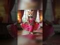 Cute Cat Cuties Billi Billi Billi Billi Wala Billi Ki Video Billi Dance