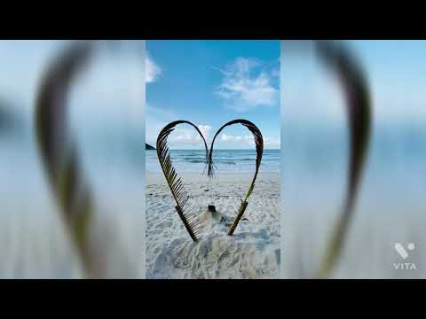 Nature video best in my life nature is good