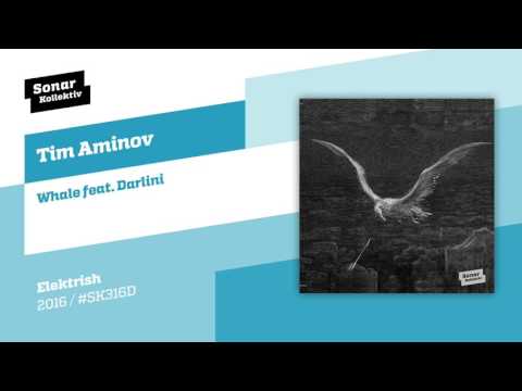 Tim Aminov - Whale feat. Darlini