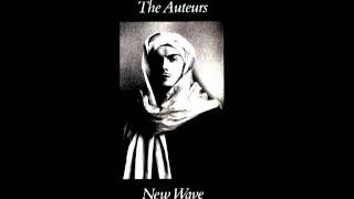 The Auteurs - Idiot Brother