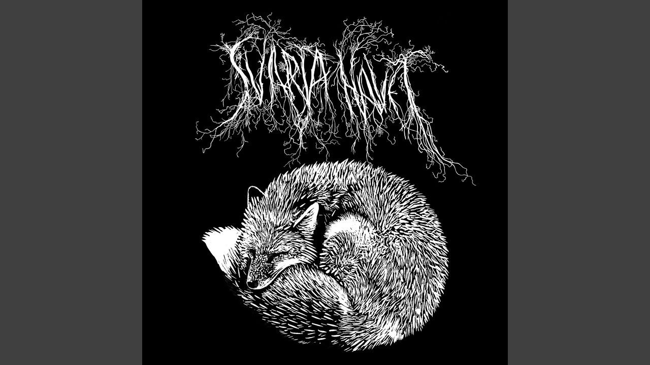 G&ouml;m dig - YouTube