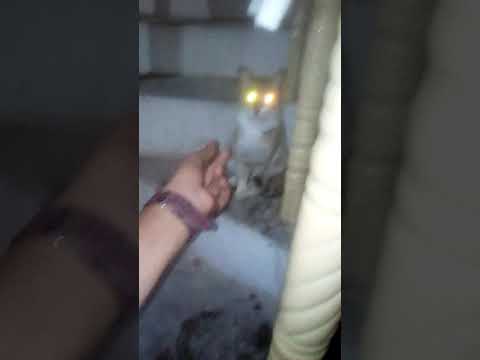 Funny Irfan Rao Khan wala