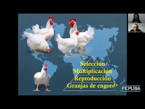 , title : 'Fundamentos de la producción avícola: carne y huevos - Residuos en producción de bovinos y cerdo'