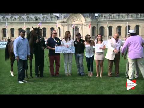 2nd Place N.58 AJA WICTOR - Chantilly 2015 ABCE - Yearling Colts Championship (Class 14)