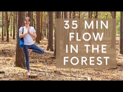 35 Min Flow In The Forest. Slow & Gentle Yoga Flow in England. Grounded & Calming Yoga Class.