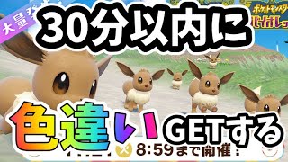 【ポケモンSV】30分以内にイーブイ大量発生色違い厳選