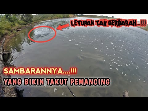 Semua Pemancing Pasti Takut Dengan Hal Ini.....!!!!