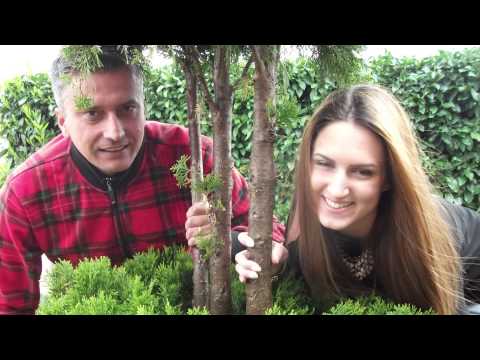 Zoran Begić & Sanja Boban - "Ljubavi mi daj" - *** MELODIJE MOSTARA 2014.***