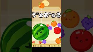 パズル初心者がスイカゲームでガチ勢並のプレイを魅せた瞬間www #ゲーム実況 #スイカゲーム