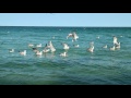 The Best Days At Eforie Sud