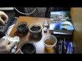 эксперимент выращивания японской сосны бонсай bonsay дома способ первый часть 1 