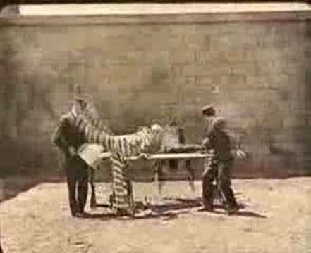 Nocif - V'lan dans la gueule