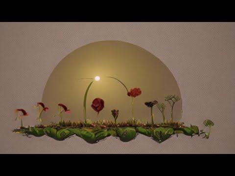 Creacion y Evolucion Padre Antonio Sayes