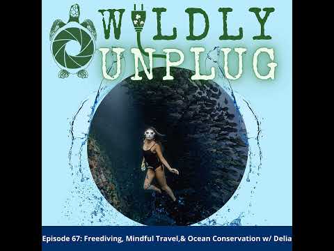Freediving, Mindful Travel, and Ocean Conservation with Delia