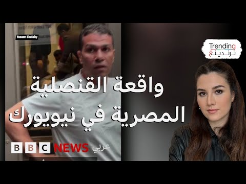 فيديو | ما الذي جرى عند القنصلية المصرية في نيويورك؟