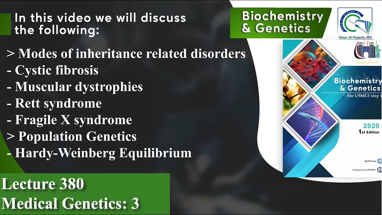 Cystic fibrosis | Muscular dystrophies | Fragile X syndrome | Hardy-Weinberg population genetics