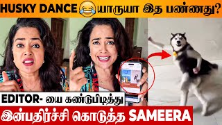 Download lagu Actress Sameera Reddy Reacts To Viral Husky Dog Dance 🤣 Surprise To Original Editor, Ichu Ichu Song mp3