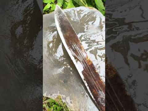 La piedra de afilar #parati #campo #piedras #reelsviral