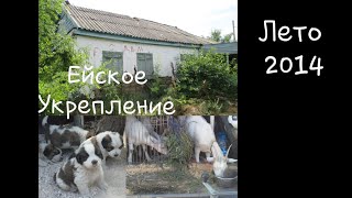 Рыбалка на ейском укреплении