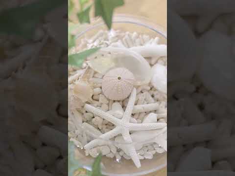 2024 年までに地球温暖化の閾値を超える: これが気候変動で私たちを脅かすものです