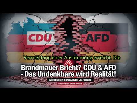 🔍 Brandmauer-Check: CDU & AfD – Die Wahrheit über die Zusammenarbeit | Fakten & Hintergründe