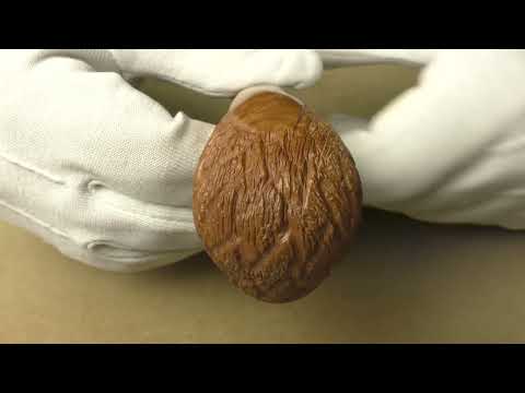 Viprati Rusticata Naturale - pipe 384