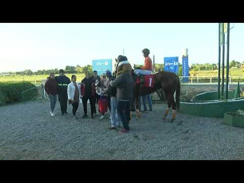 SINT COLONIA - 220526 c10 1° ZETOR