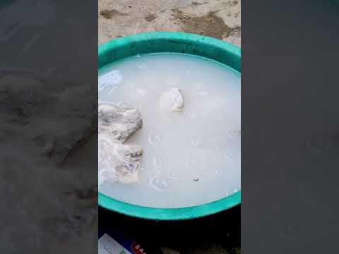 Calcium Hydroxide Experiment