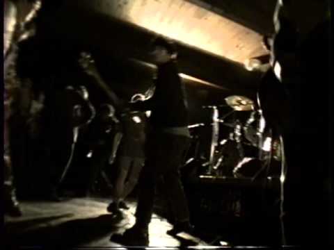 Thumbnail for Seaweed Live 12-19-1992