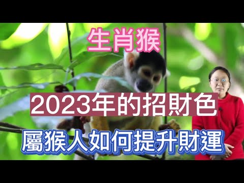 屬猴招財