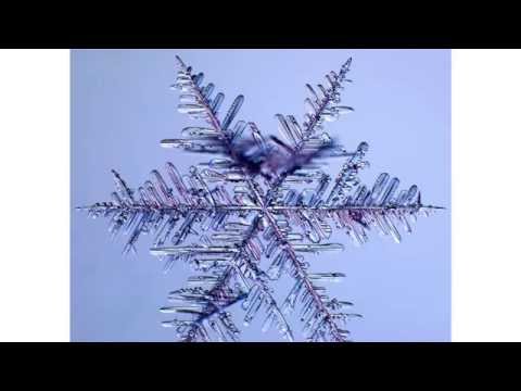 The Science of Snowflakes