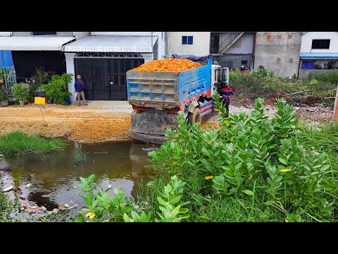 Incredible  landfill build house project . ! Truck transport soil with Bulldozer push soil to water