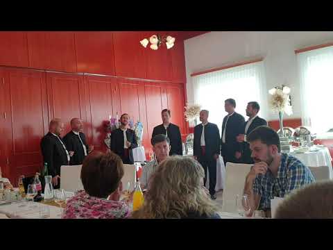 Klapa Dalmari - 06 - Ribari