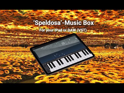 The Wintergatan Music Box Speldosa VST Plug-in (Original Peace & Grace Melody)