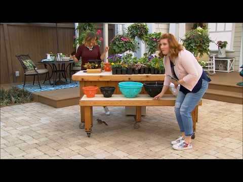 Cute baby squirrel shows up on HSN's outdoor set during presentation