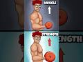Does Muscle Size Equal Strength