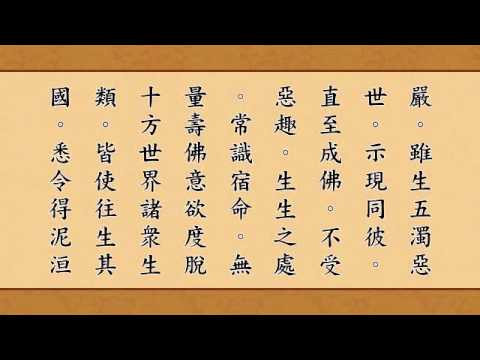 《无量寿经》读诵版 (全集)