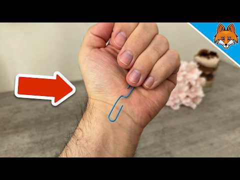 The (Sadly Secret) Paperclip Trick that EVERYONE needs to know🤯💥