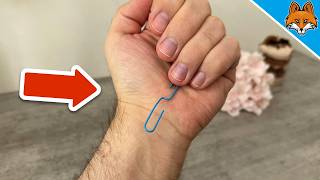 The (Sadly Secret) Paperclip Trick that EVERYONE needs to know🤯💥