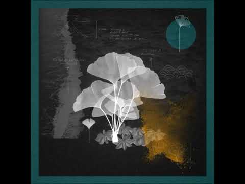 Safar (FR) - Eternal Roots (Paax Tulum Remix) [Redolent Music]