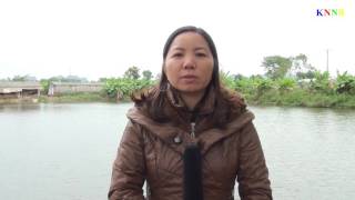 Phòng chống rét cho con nuôi thủy sản