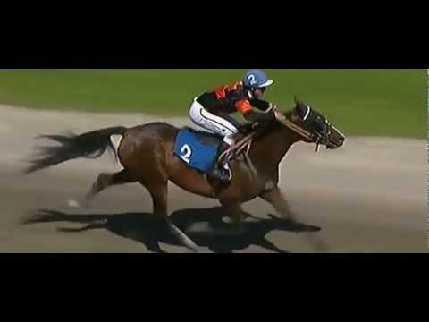 Elitloppet 2012 Montéeliten Juliano Star_Prince de Montfort_Eric Raffin