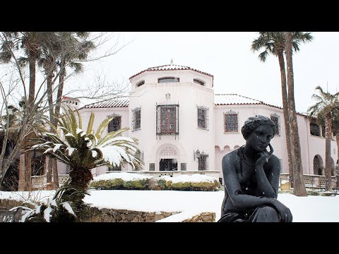 Top 5 McNay Moments of 2021